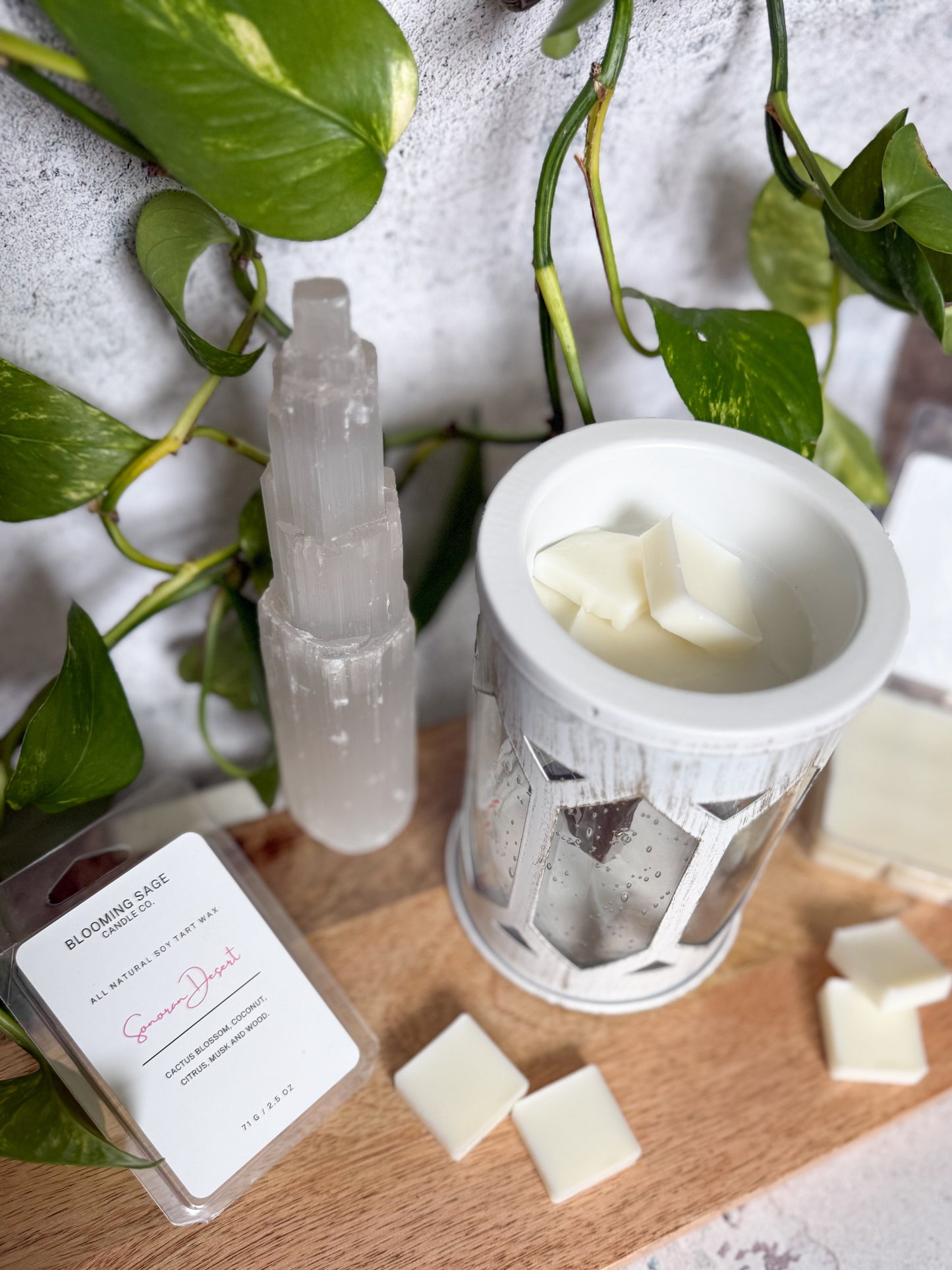 Sonoran Desert Wax Melt