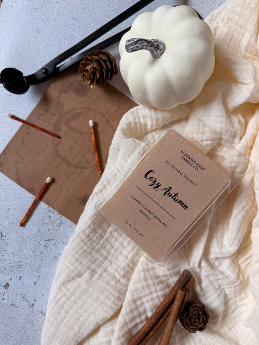 Cozy Autumn Wax Melt