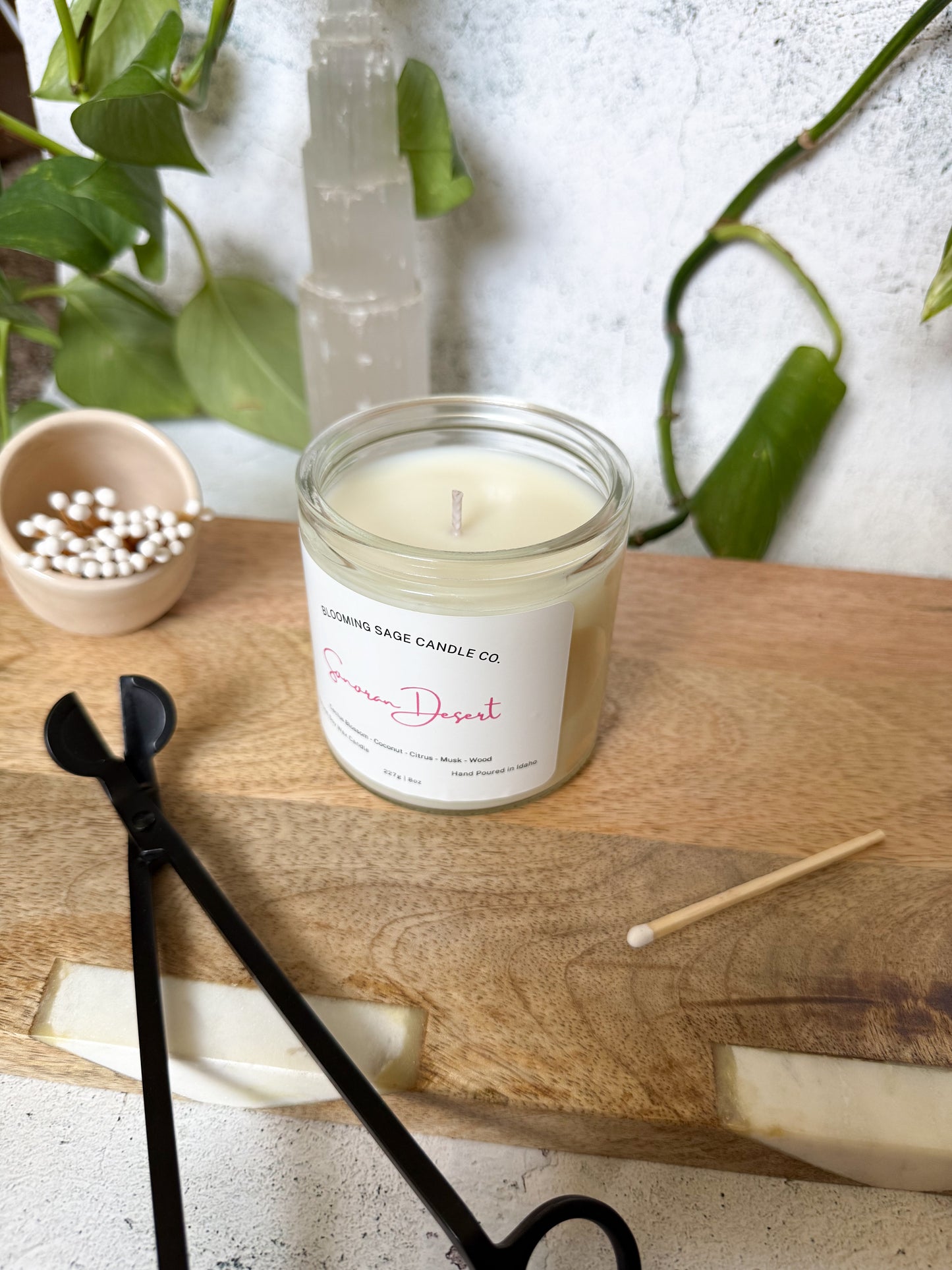 Sonoran Desert Soy Wax Candle