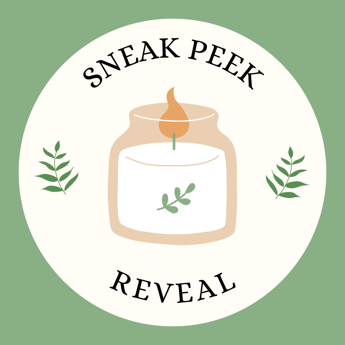 Sneak Peek Reveal Video