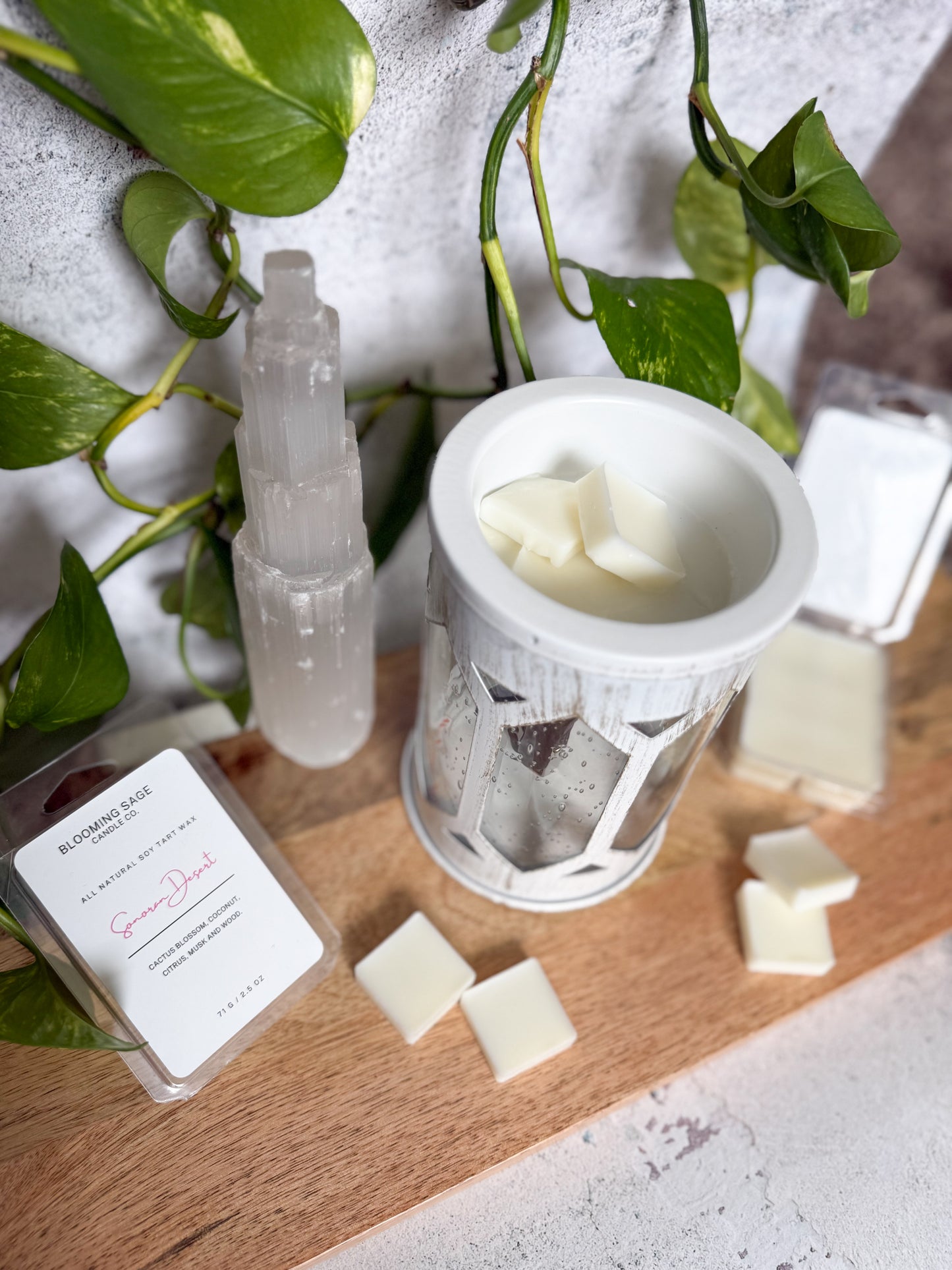 Sonoran Desert Wax Melt