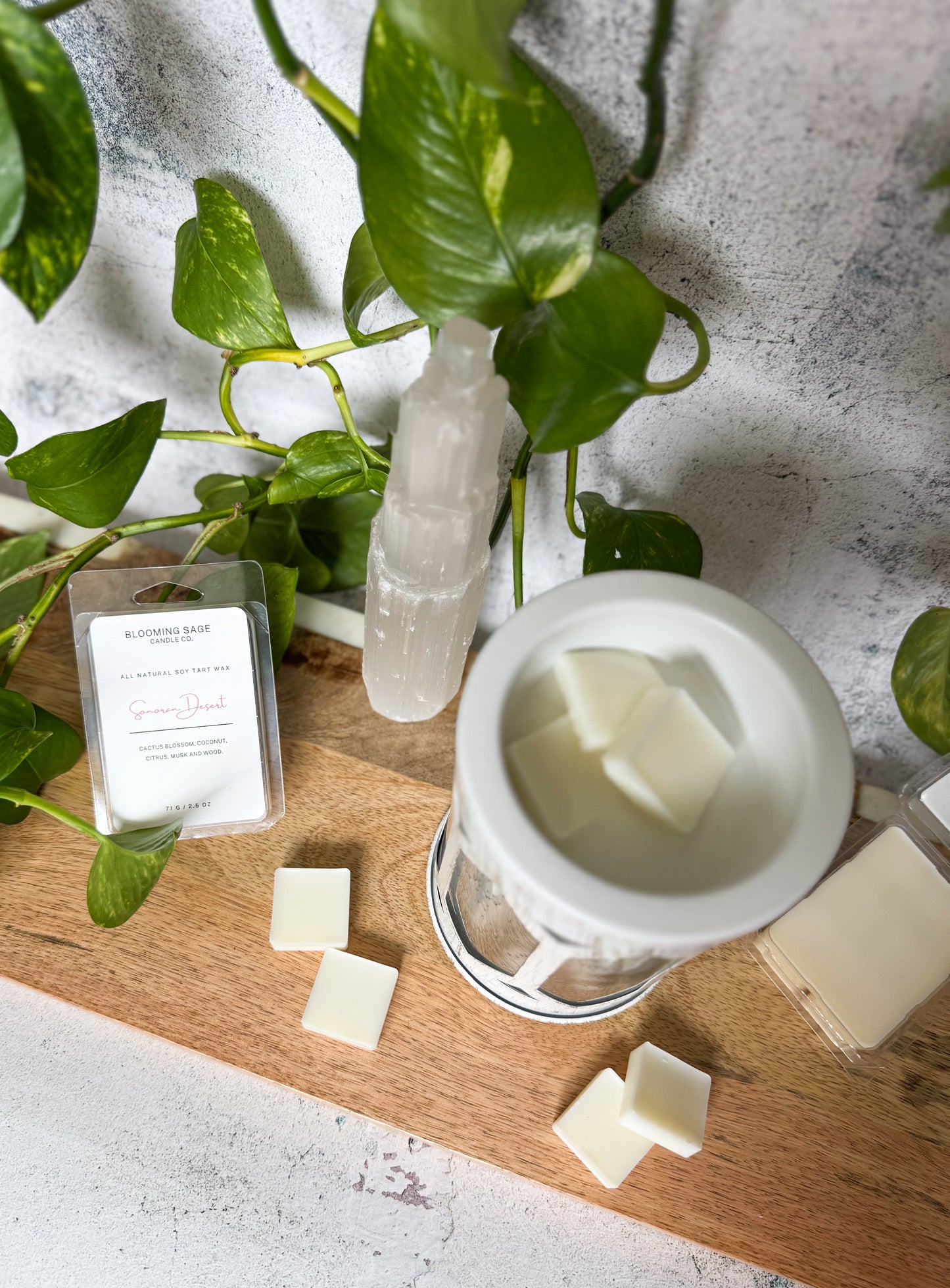 Home Collection Wax Melt Bundle